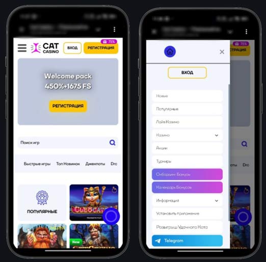 Оформление казино Кэт